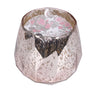Sweet Grace Collection